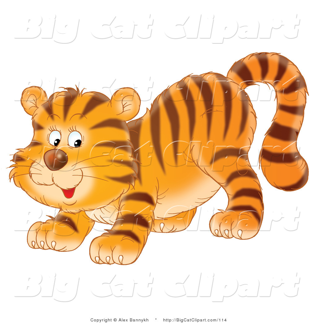 tiger cat clipart - photo #24