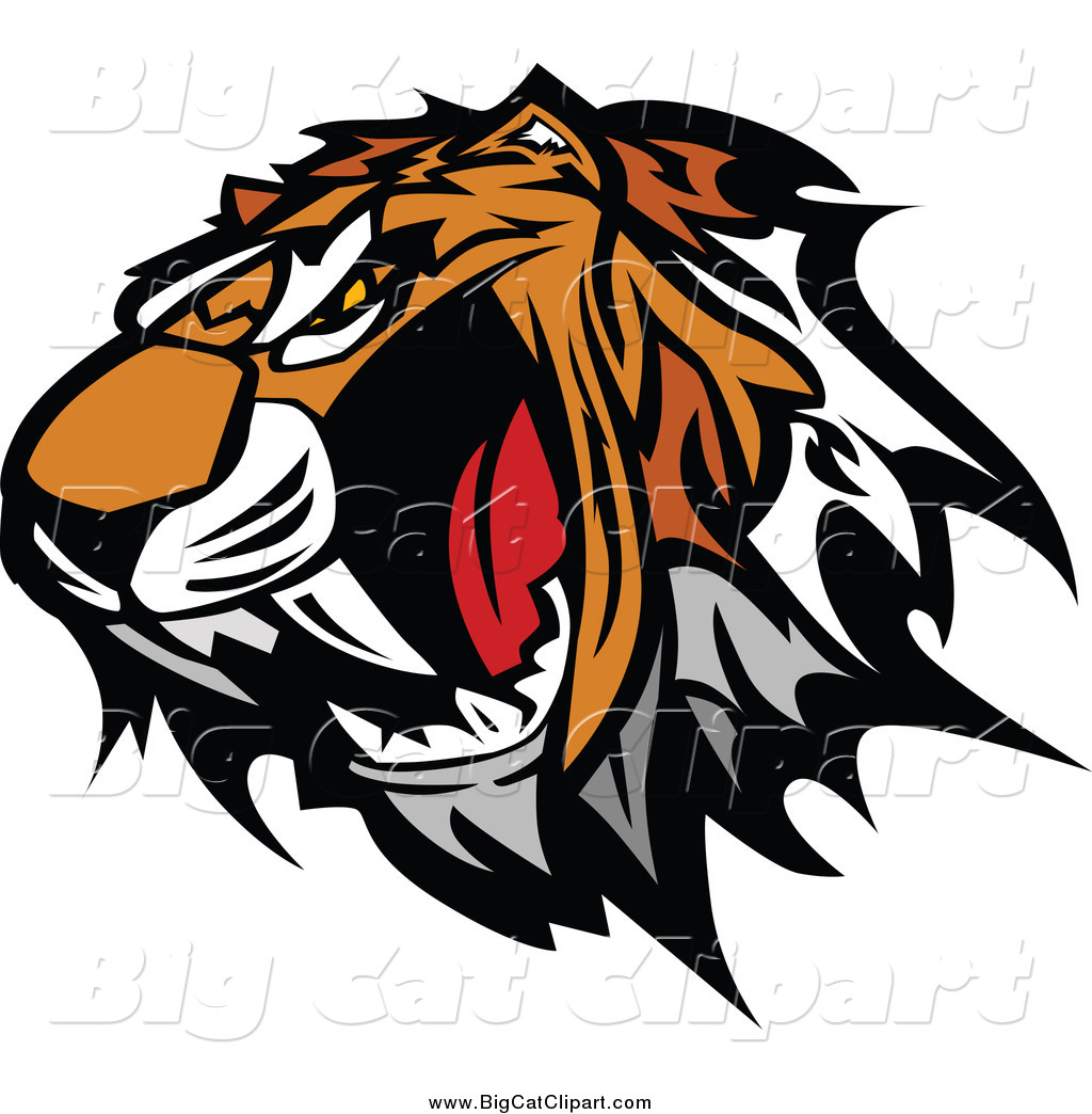 tiger roar clipart - photo #42