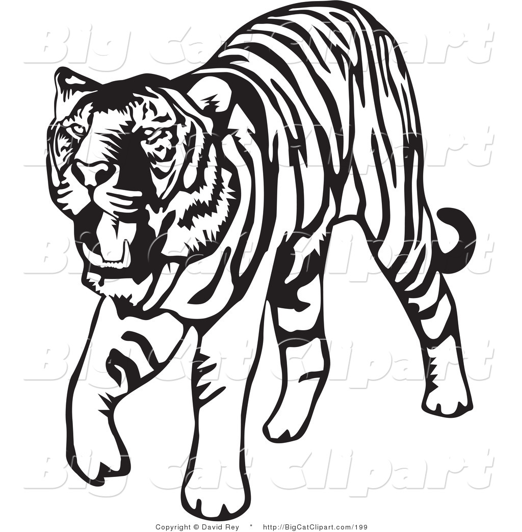 clipart tiger black and white - photo #8