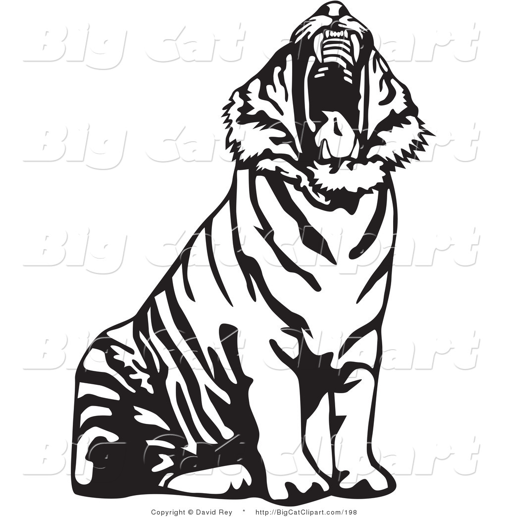tiger clipart black and white free - photo #29