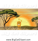 Big Cat Cartoon Vector Clipart of a Cheetah Walking by an Acacia Tree at Sunset by