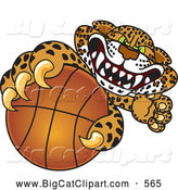 Big Cat Cartoon Vector Clipart of a Ferocious Cheetah, Jaguar or Leopard Character School Mascot Grabbing a Basketball by Mascot Junction