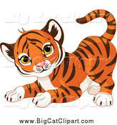 Big Cat Cartoon Vector Clipart of a Frisky Cute Tiger Cub in a Playful Stance by Pushkin