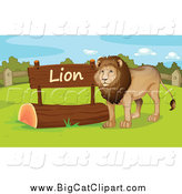 Big Cat Cartoon Vector Clipart of a Male Zoo Lion by a Sign by
