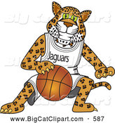 Big Cat Cartoon Vector Clipart of a Smiling Jaguar Character School Mascot Playing Basketball by Mascot Junction