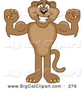 Big Cat Cartoon Vector Clipart of a Strong Cougar Mascot Character Flexing by Mascot Junction