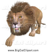 Big Cat Vector Clipart of a 3d Stalking Male Lion by