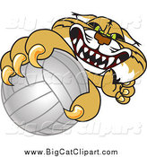 Big Cat Vector Clipart of a Bobcat Grabbing a Volleyball by Mascot Junction