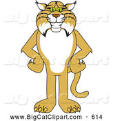 Big Cat Vector Clipart of a Cute Bobcat Character Standing with His Hands on His Hips by Mascot Junction