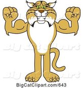Vector Clipart of a Cartoon Bobcat Character Flexing by Toons4Biz