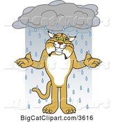 Vector Clipart of a Cartoon Bobcat School Mascot Shrugging in the Rain, Symbolizing Acceptance by Mascot Junction