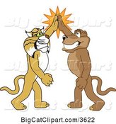 Vector Clipart of Cartoon Bobcat and Cougar School Mascots High Fiving, Symbolizing Teamwork and Sportsmanship by Mascot Junction