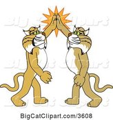 Vector Clipart of Cartoon Bobcat School Mascots High Fiving, Symbolizing Pride by Toons4Biz
