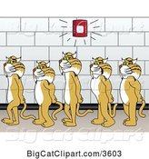 Vector Clipart of Cartoon Bobcat School Mascots Walking in Line in a Hallway As a Fire Alarm Goes Off, Symbolizing Safety by Mascot Junction