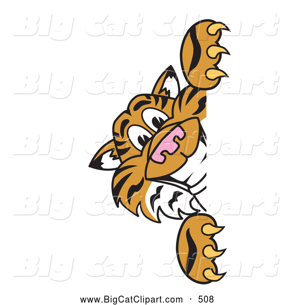 Big Cat Cartoon Vector Clipart of a Cheerful Tiger Character School Mascot Looking Around a Sign