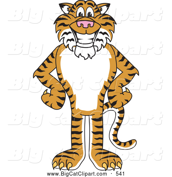 Big Cat Cartoon Vector Clipart of a Cheerful Tiger Character School Mascot with His Hands on His Hips
