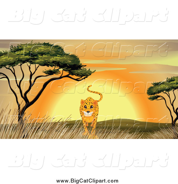 Big Cat Cartoon Vector Clipart of a Cheetah Walking by an Acacia Tree at Sunset