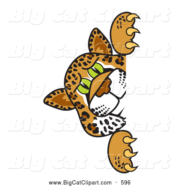 Big Cat Cartoon Vector Clipart of a Friendly Cheetah, Jaguar or Leopard Character School Mascot Looking Around a Corner