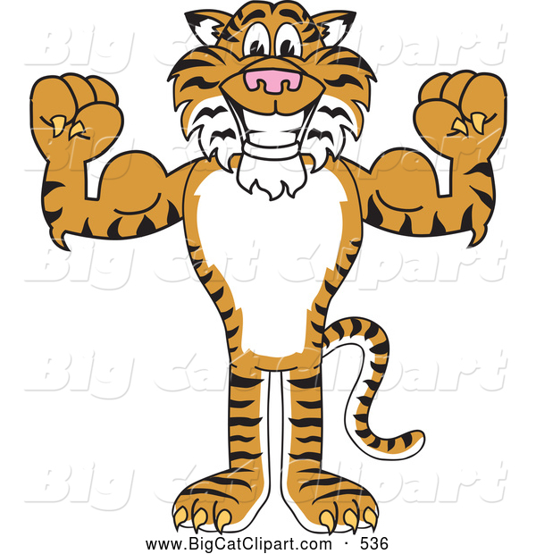 Big Cat Cartoon Vector Clipart of a Grinning Tiger Character School Mascot Flexing