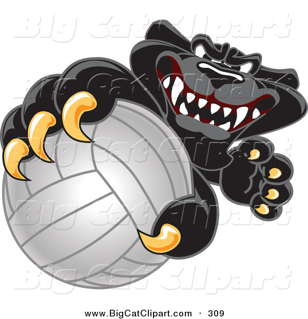 Big Cat Cartoon Vector Clipart of a Happy Black Jaguar Mascot Character Grabbing a Volleyball