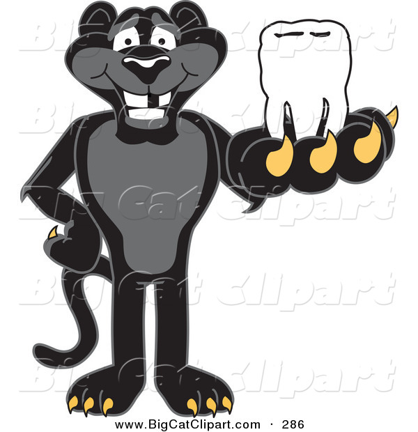 Big Cat Cartoon Vector Clipart of a Happy Black Jaguar Mascot Character Holding a Tooth