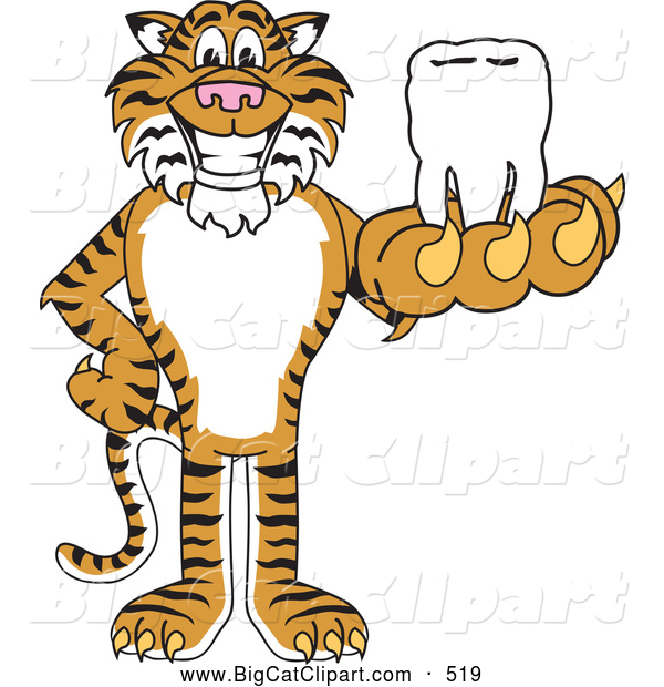 Big Cat Cartoon Vector Clipart of a Happy Tiger Character School Mascot Holding a Tooth