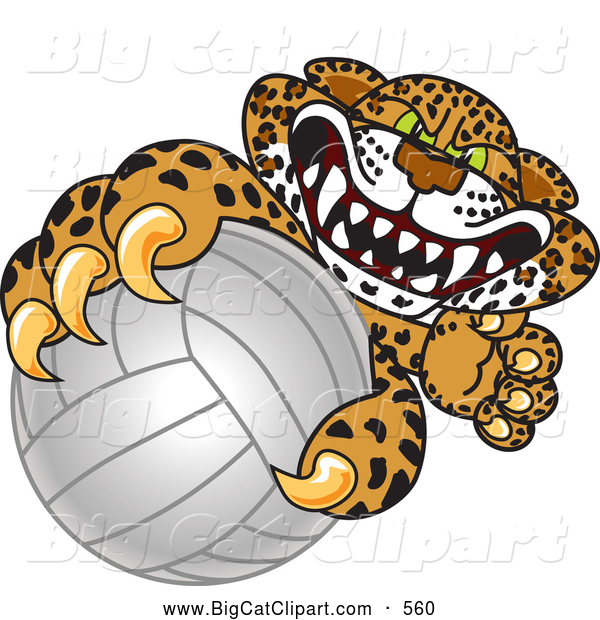Big Cat Cartoon Vector Clipart of a Mad Cheetah, Jaguar or Leopard Character School Mascot Grabbing a Volleyball