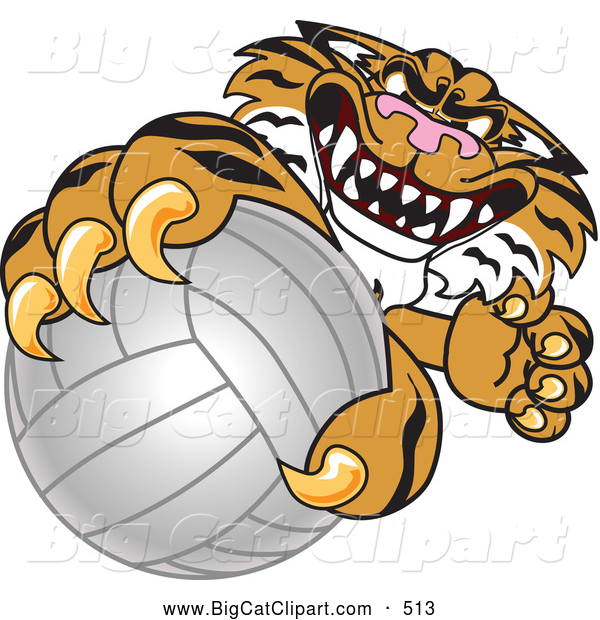 Big Cat Cartoon Vector Clipart of a Mean Tiger Character School Mascot Grabbing a Volleyball