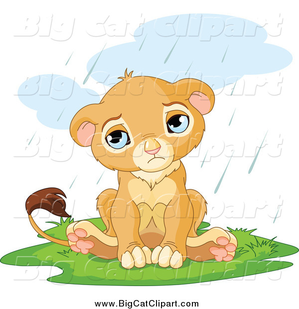 Big Cat Cartoon Vector Clipart of a Sad Lion Cub Sitting in the Rain