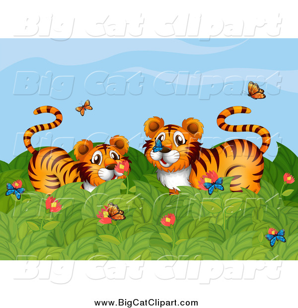 Big Cat Cartoon Vector Clipart of a Tigers Playing with Butterflies