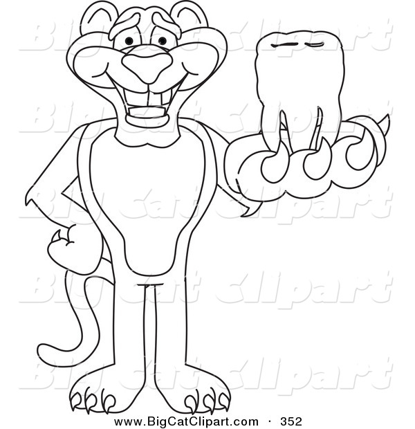 Big Cat Cartoon Vector Clipart of an Outline Design of a Panther Character Mascot Holding a Tooth
