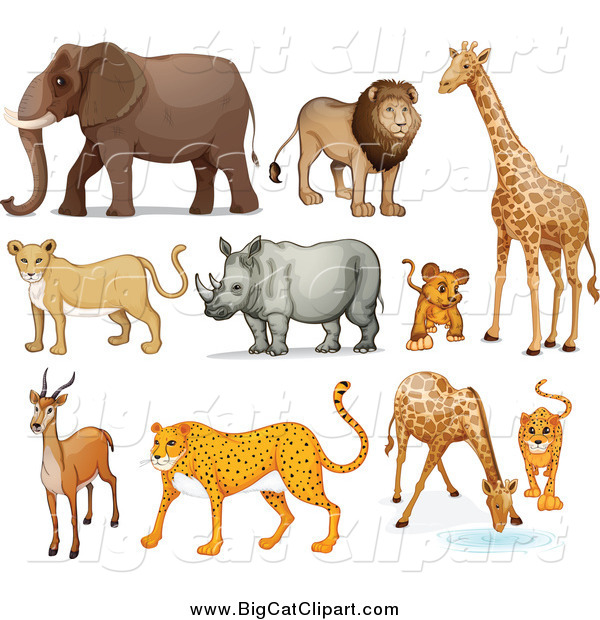 Big Cat Cartoon Vector Clipart of Lions, and African Zoo Animals