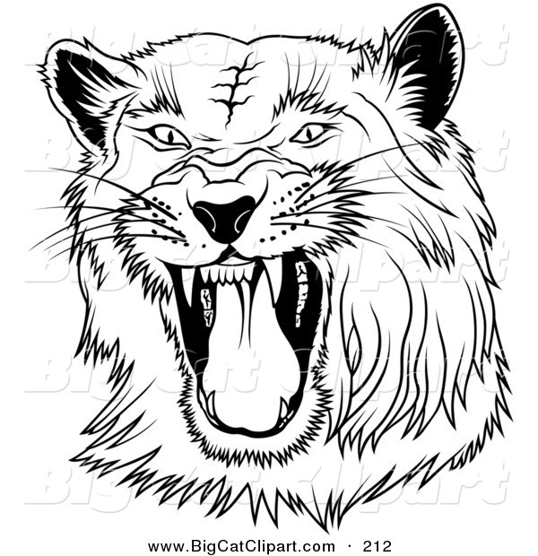Big Cat Clipart of a Black and White Hissing Panther on WhiteBlack and White Hissing Panther on White