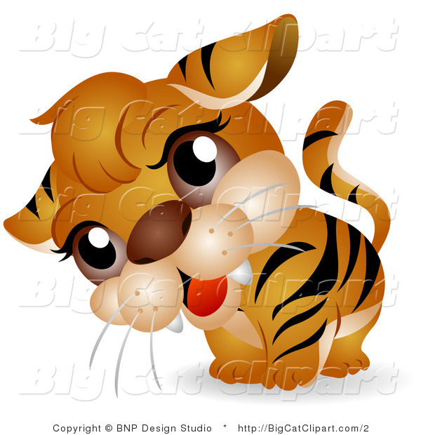 Big Cat Clipart of a Curious Tiger Cub Tilting Its Head