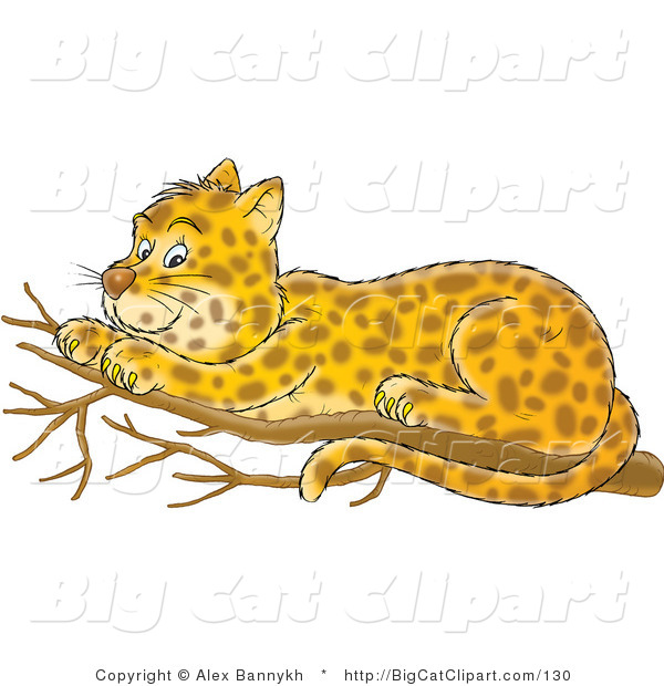 Big Cat Clipart of a Spotted Leopard Resting in a Tree
