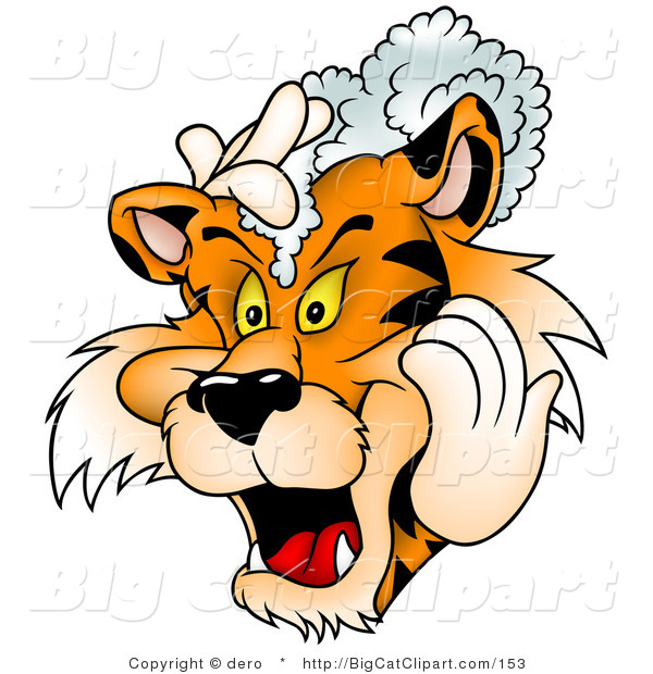 Big Cat Clipart of a Tiger Shampooing His Mane