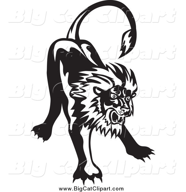 Big Cat Vector Clipart of a Black and White Angry Lion