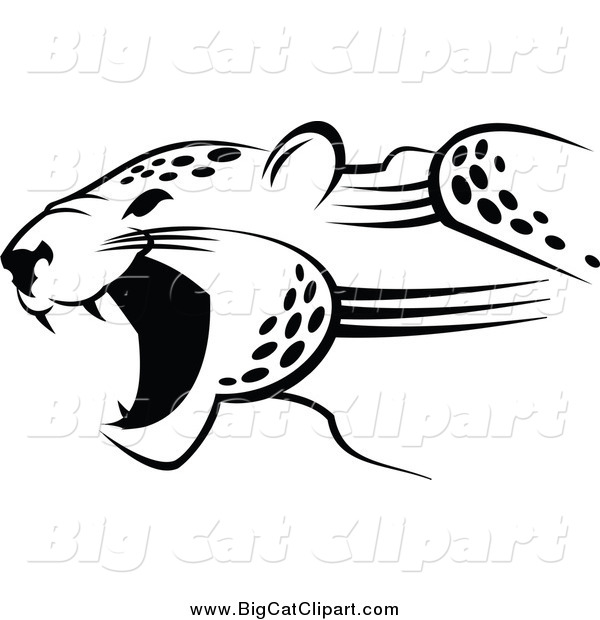 Big Cat Vector Clipart of a Black and White Jaguar