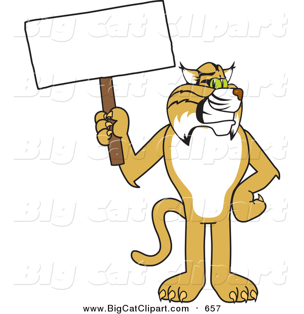 Big Cat Vector Clipart of a Bobcat Holding a Sign