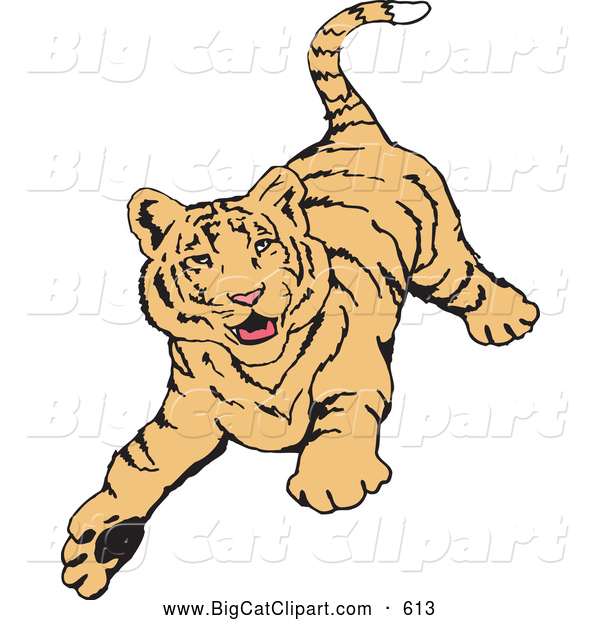 Big Cat Vector Clipart of a Friendly Playful Tiger Running Forward
