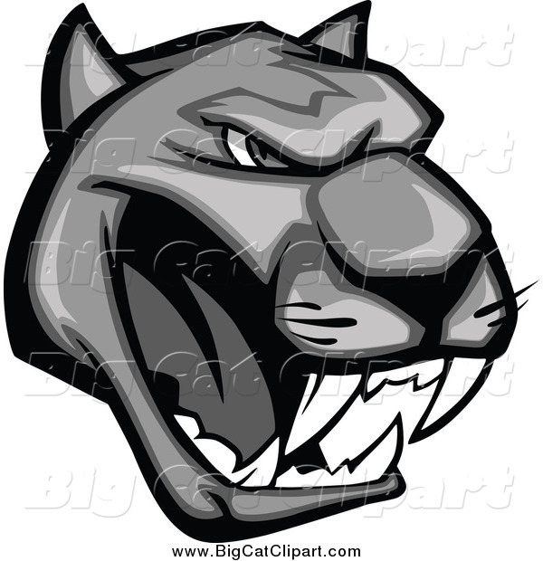 Big Cat Vector Clipart of a Grayscale Aggressive Growling Panther Head