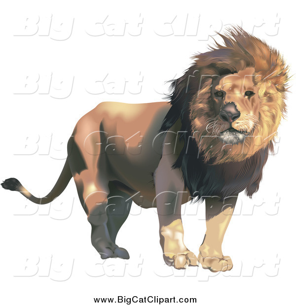 Big Cat Vector Clipart of a Male Lion with a Breeze Blowing His Mane