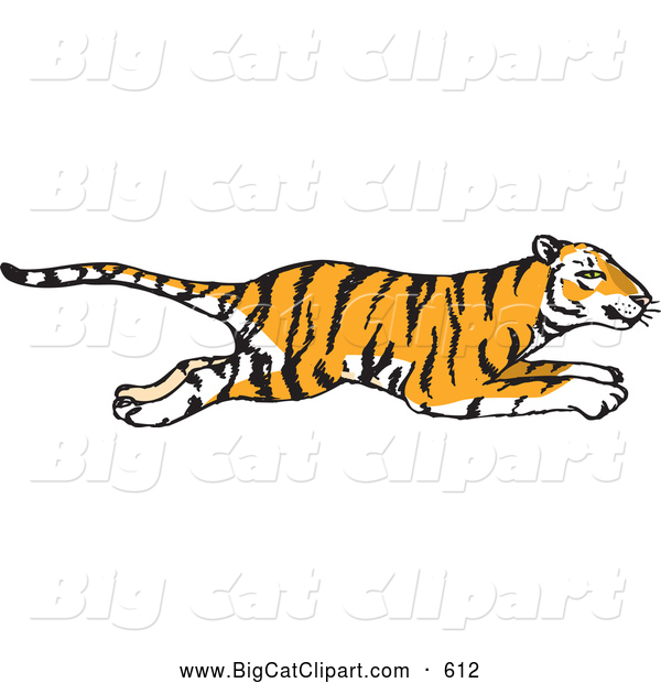 Big Cat Vector Clipart of a Profiled Hasty Running Tiger