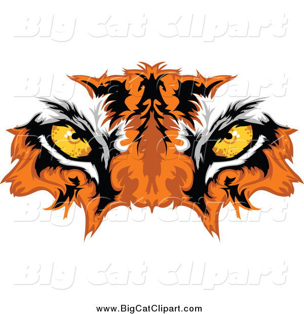 Big Cat Vector Clipart of Golden Tiger Eyes