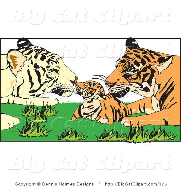 Big Cat Vector Clipart of Tiger Parents and Cub