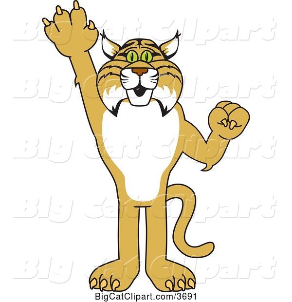 Vector Clipart of a Cartoon Bobcat School Mascot Holding up a Hand, Symbolizing Responsibility