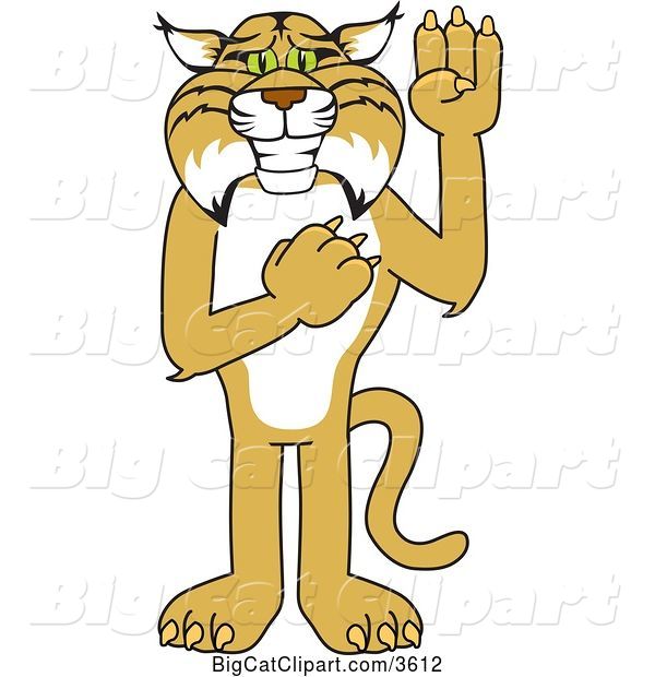 Vector Clipart of a Cartoon Bobcat School Mascot Pledging, Symbolizing Integrity