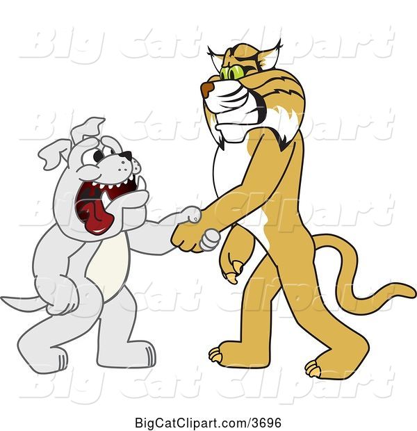 Vector Clipart of a Cartoon Bobcat School Mascot Shaking Hands with a Bulldog, Symbolizing Acceptance and Introduction