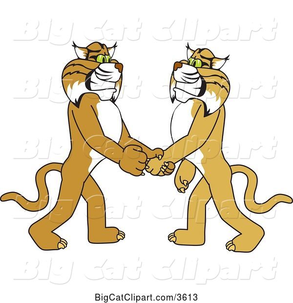 Vector Clipart of a Cartoon Bobcat School Mascot Shaking Hands with a Friend, Symbolizing Gratitude