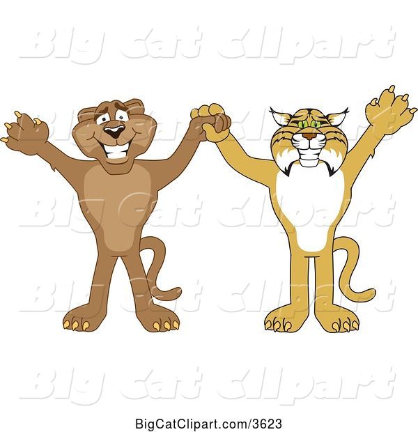 Vector Clipart of Cartoon Bobcat and Cougar School Mascots Holding Hands and Cheering, Symbolizing Teamwork and Sportsmanship